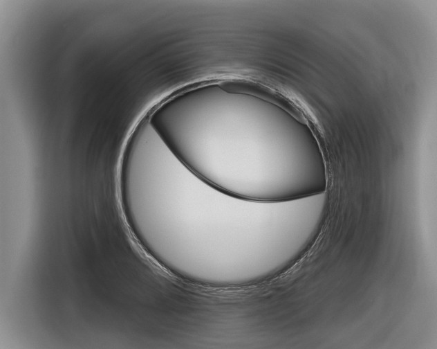 X0000116831080200912181049