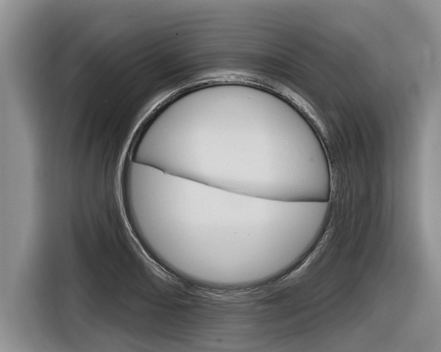 X0000116831082200912181049