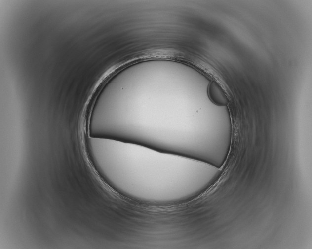 X0000116831083200912181049