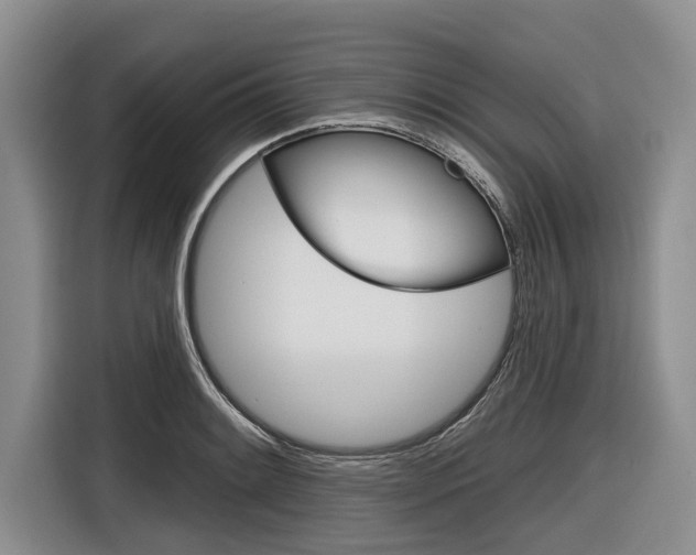 X0000116831084200912181049