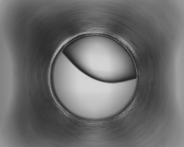 X0000116831085200912181049