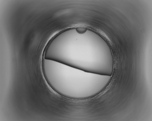 X0000116831087200912181049