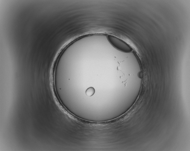 X0000116831088200912181049