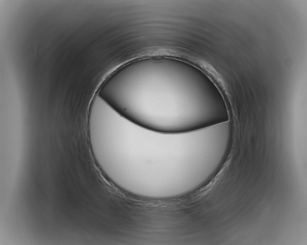 X0000116831089200912181049
