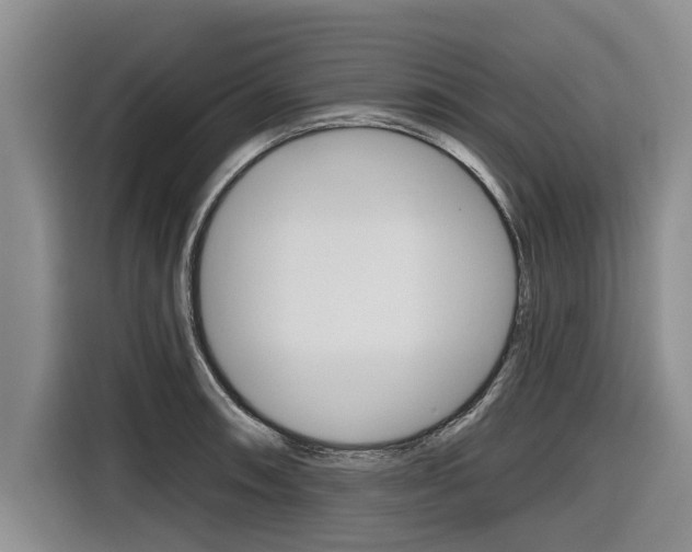 X0000116831090200912181049
