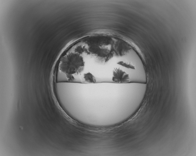 X0000116831091200912181049