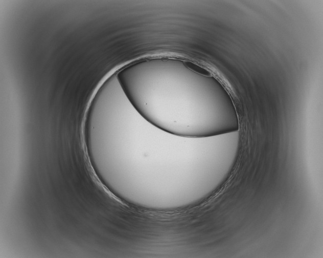 X0000116831092200912181049