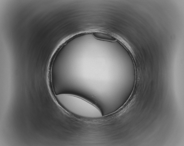 X0000116831093200912181049