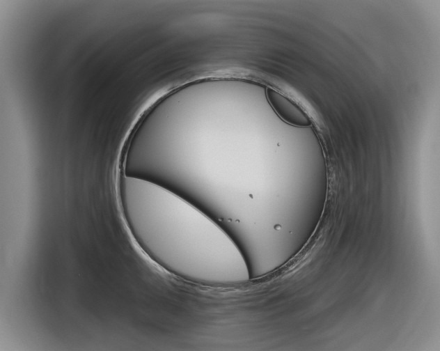 X0000116831095200912181049