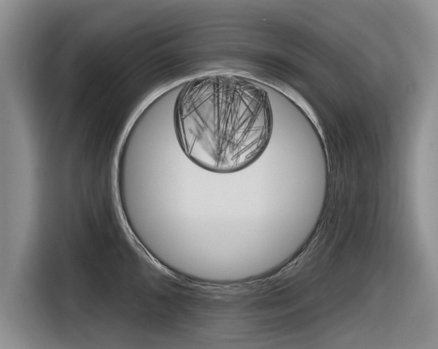 X0000116831096200912181049