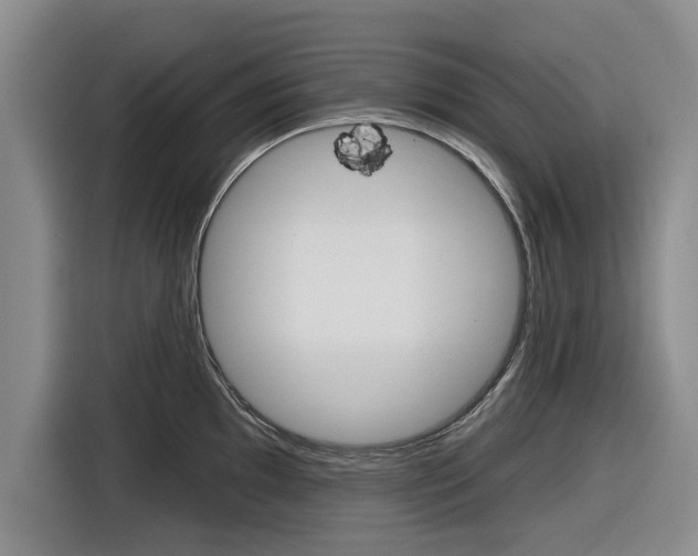 X0000116831097200912181049