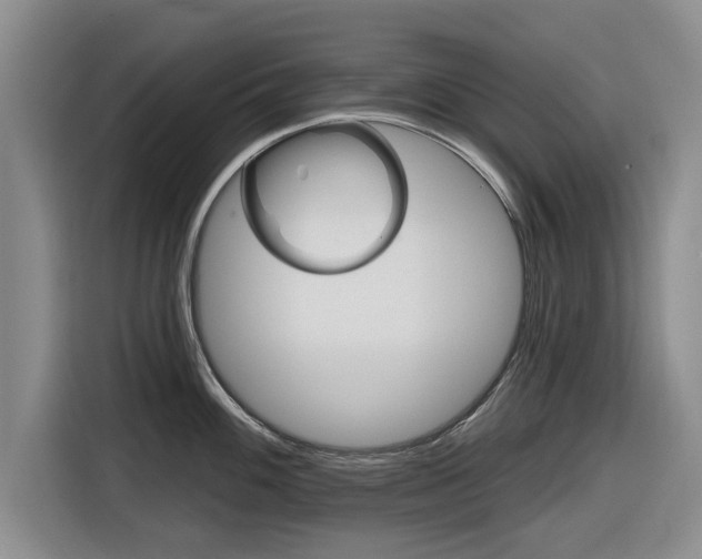 X0000116831100200912181049