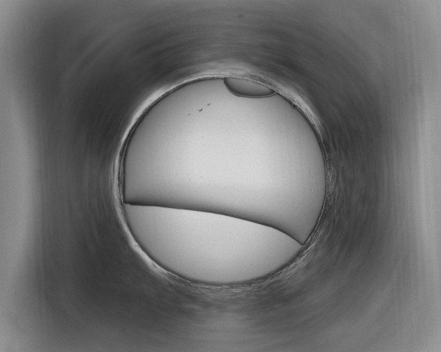 X0000116831103200912181049