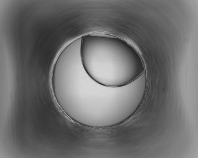 X0000116831104200912181049