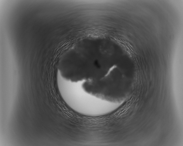 X0000116831105200912181048