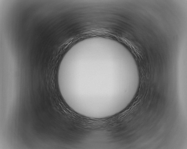 X0000116831110200912181049