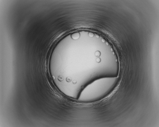 X0000116831113200912181049