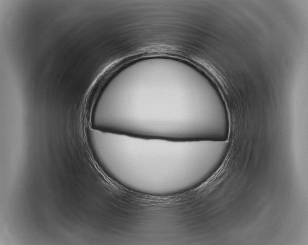 X0000116831115200912181049