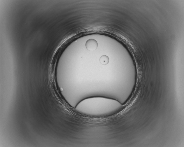 X0000116831117200912181049