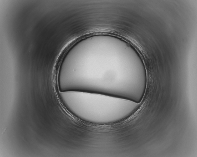 X0000116831119200912181049