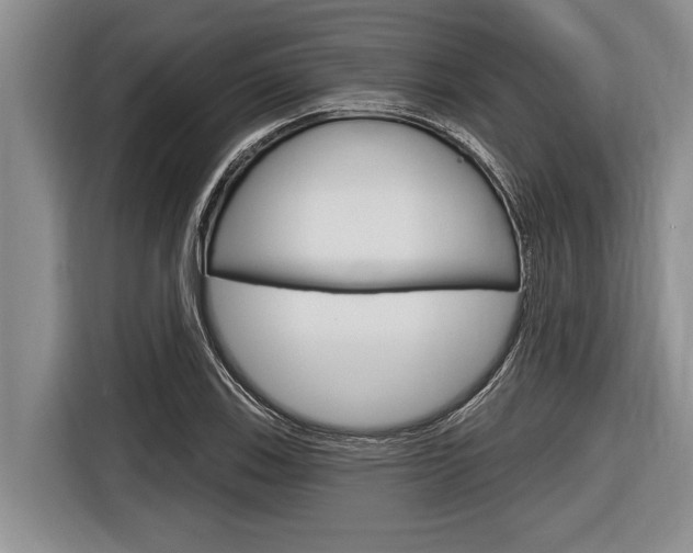 X0000116831123200912181049