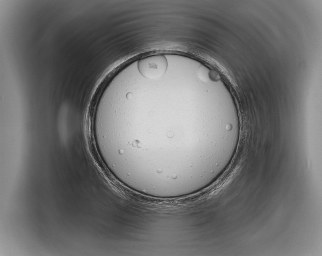 X0000116831125200912181049