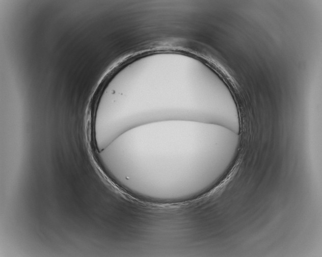 X0000116831126200912181049