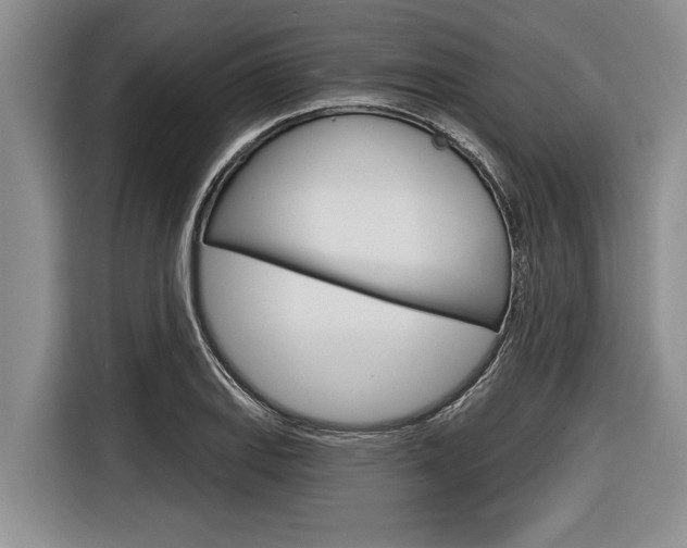 X0000116831127200912181049