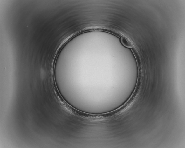 X0000116831129200912181049