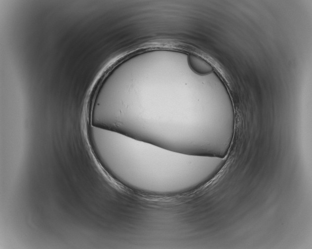 X0000116831131200912181049