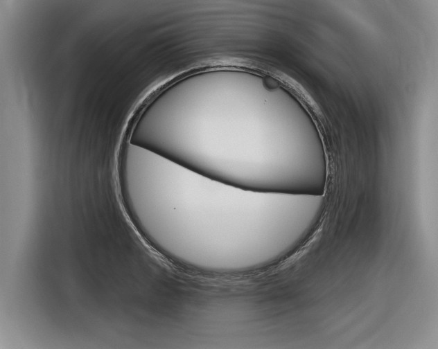 X0000116831133200912181049