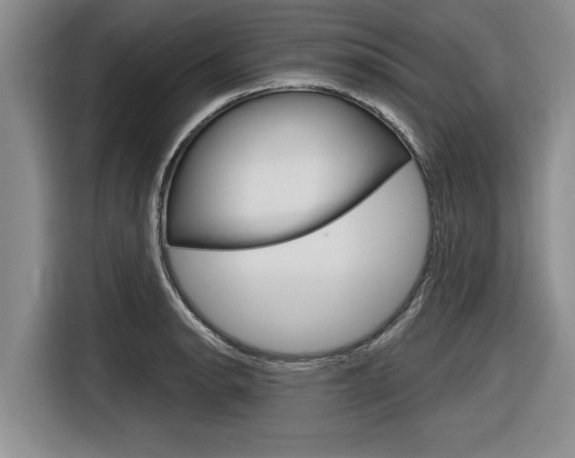 X0000116831134200912181049