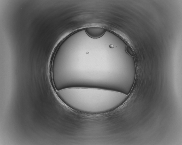 X0000116831135200912181049