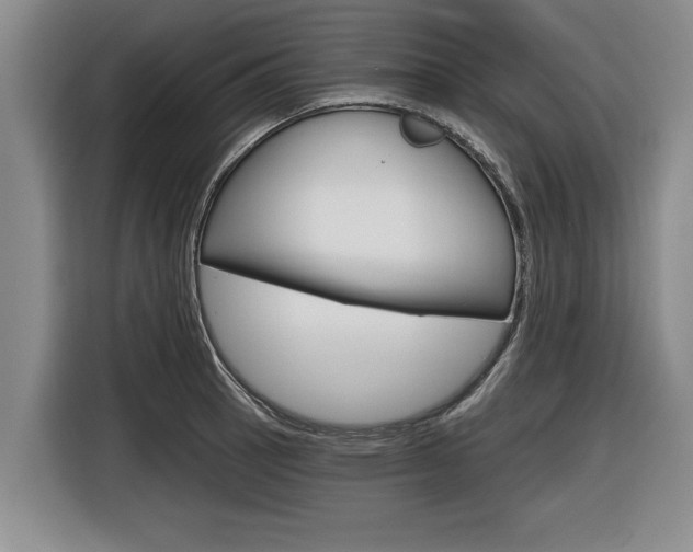 X0000116831137200912181049