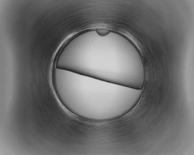 X0000116831139200912181049