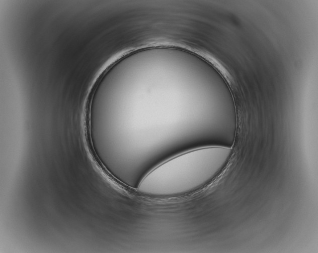 X0000116831142200912181049