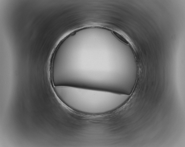 X0000116831143200912181049