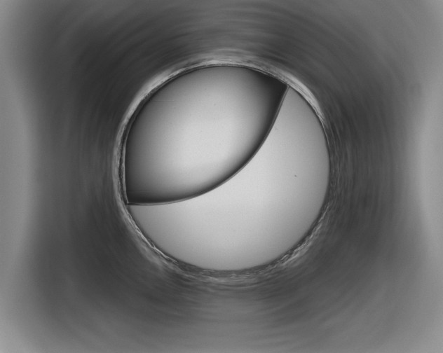 X0000116831146200912181049