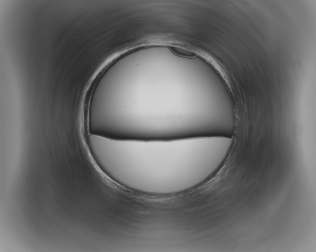X0000116831147200912181049