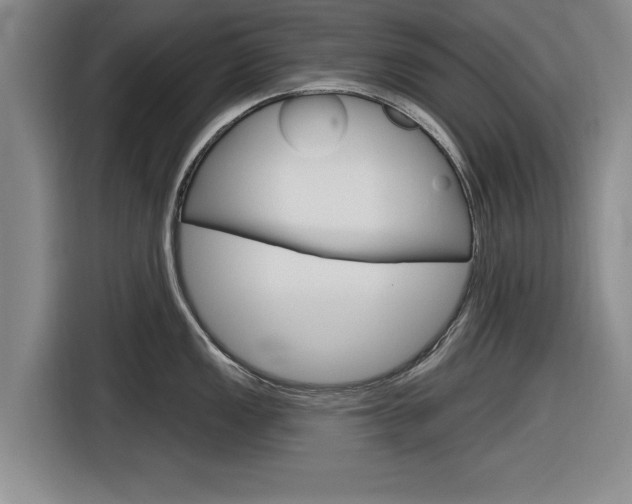 X0000116831149200912181049