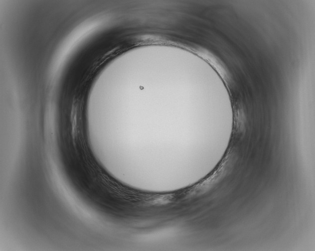 X0000116831150200912181049
