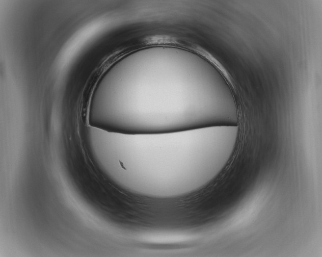X0000116831151200912181049