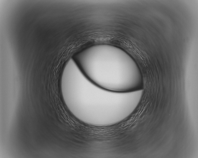 X0000116831153200912181048