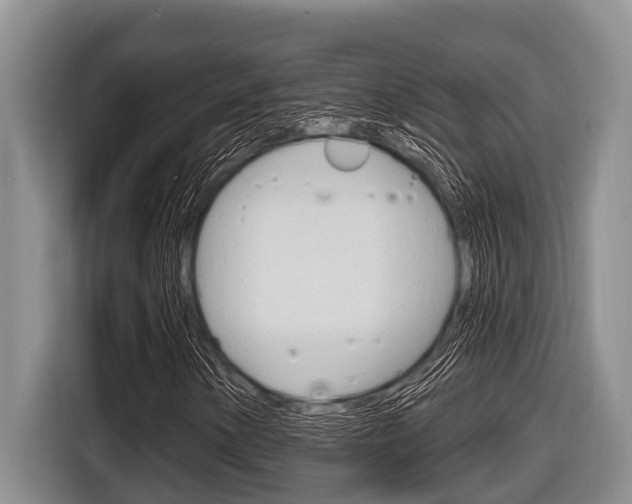 X0000116831154200912181048
