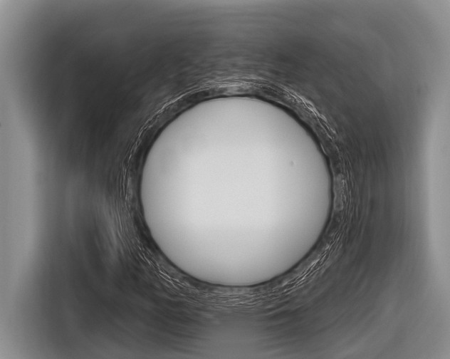 X0000116831158200912181048