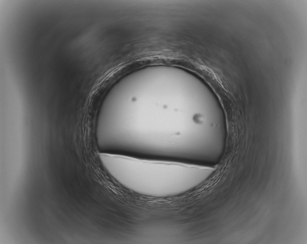 X0000116831159200912181048