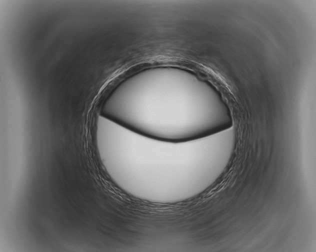 X0000116831160200912181048