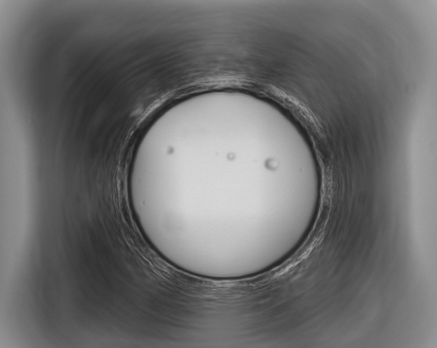 X0000116831162200912181048