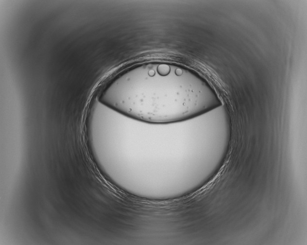 X0000116831164200912181048