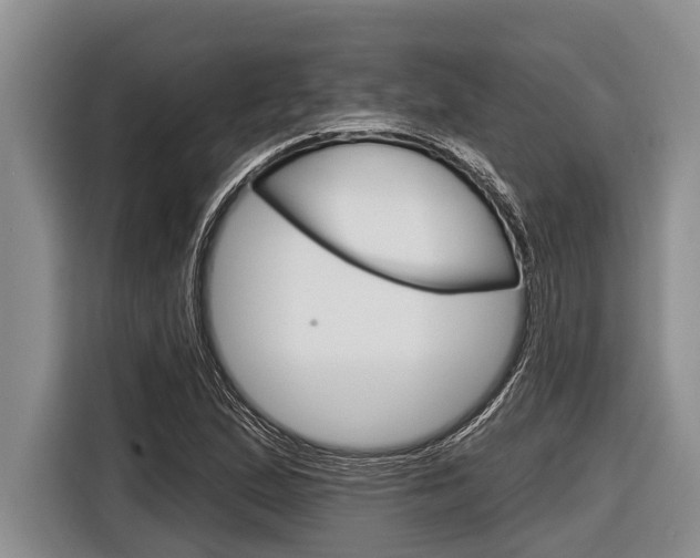 X0000116831167200912181048
